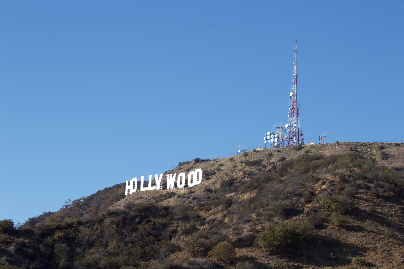 Hollywood Sign008